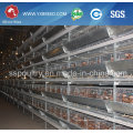 192-288 Capacity Layer Cage for Big Farm